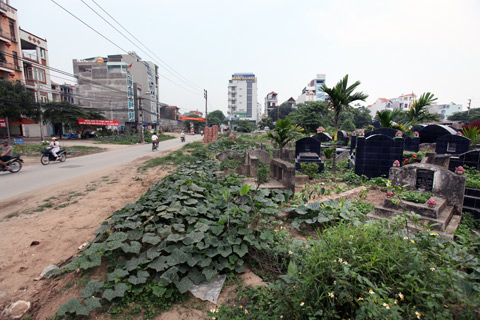 thành phố, Mễ Trì, nghĩa trang, Láng Hạ, khu dân cư