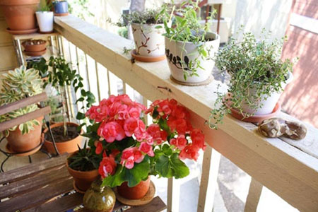 trang trí ban công, trồng cây xanh, cây cảnh, nhà đẹp, nội thất, thiết kế