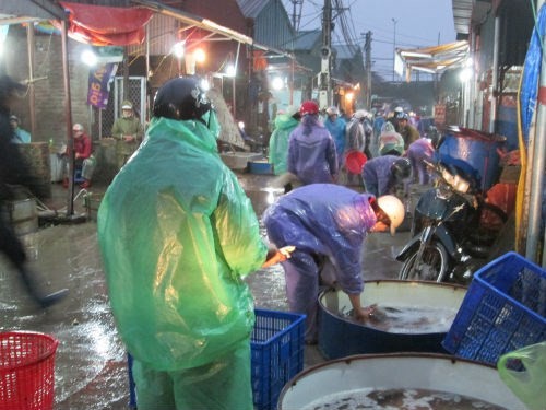 So Thuong Village Fish Market, fish market