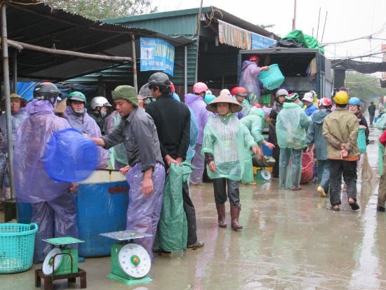 So Thuong Village Fish Market, fish market