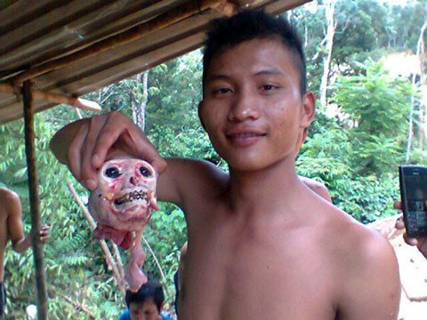 monkey killing
