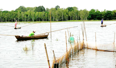 Mekong Delta residents thrive on the flood season
