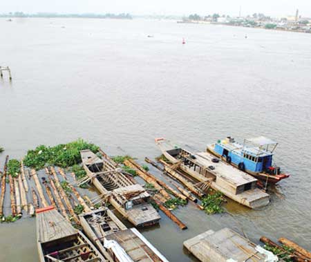 Vietnam, Dong Nai River, water pollution, environment pollution