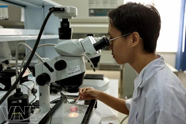 biotechnology, Vietnam, institute, science, lab