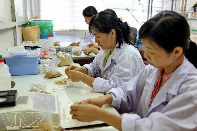 biotechnology, Vietnam, institute, science, lab