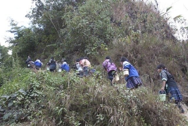 mu cang chai, kids, children, school