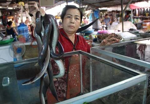 snake, tam nong, tram chim, dong thap, national park, market