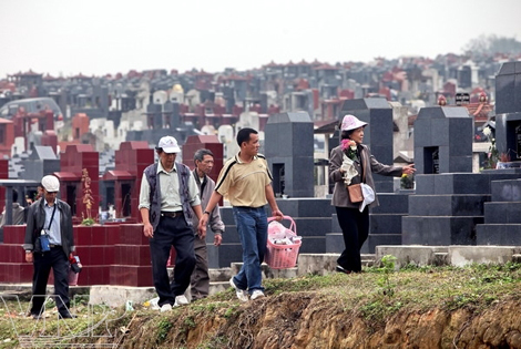 'vultures' At Cemeteries