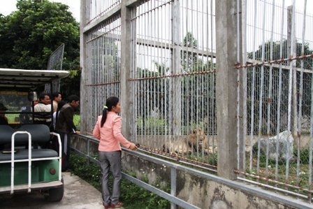 zoo, trai bo, private zoo, african animals, wildlife