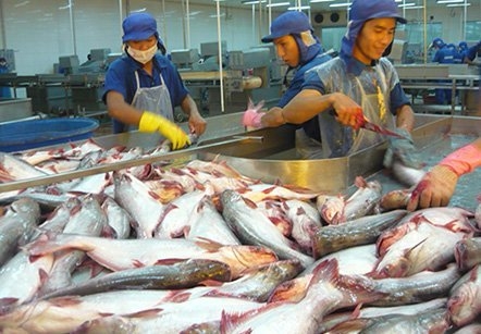 Vietnam, catfish, anti-dumping tax, export market, VASEP