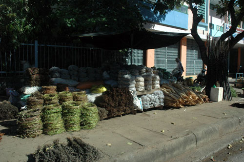 herb, forest, jungle, kon tum, trader, destroy