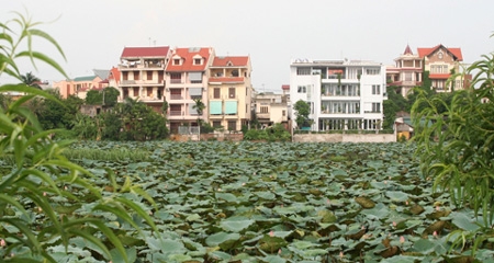 Vietnam, West Lake, golden land area, real estate market, price