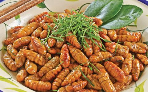 insect food, vietnam, bee, larva, aunt