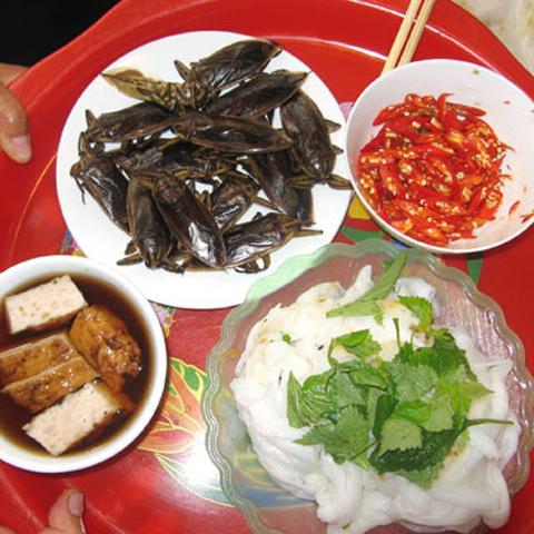 insect food, vietnam, bee, larva, aunt