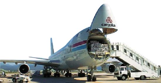 Vietnam, Vietnam Airlines, aviation, cargo transportation, logistics