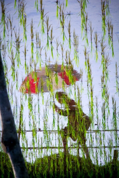 vietnam, people, landscape, photographer