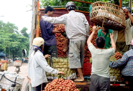 vietnam-china trade relations, border trade, business, market