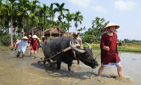 Rice farm tour, Hoi An, Cam Thanh Village