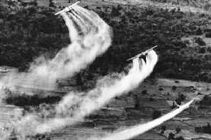 chemical weapons, mass destruction, AO, dioxin, vava, victim, vietnam war