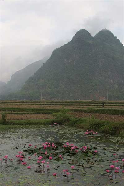 Hoa Binh, tourist-cultural villages, ancient Muong people, ethnic culture