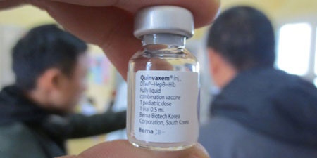 Immunisation, old generation vaccines, hepatitis B vaccine