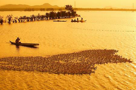 vietnam, landscape, beauty, photo