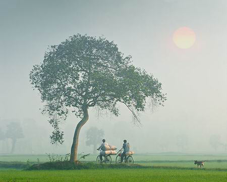 vietnam, landscape, beauty, photo