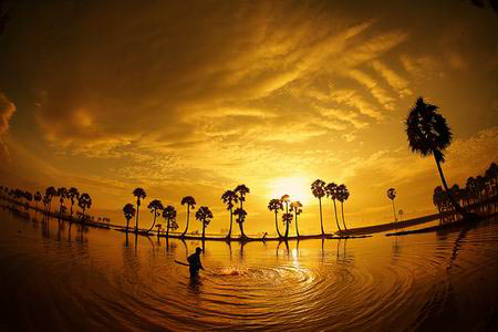 vietnam, landscape, beauty, photo
