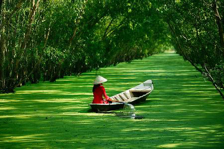 vietnam, landscape, beauty, photo