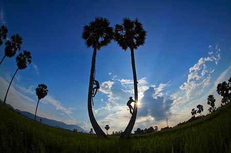 vietnam, landscape, beauty, photo