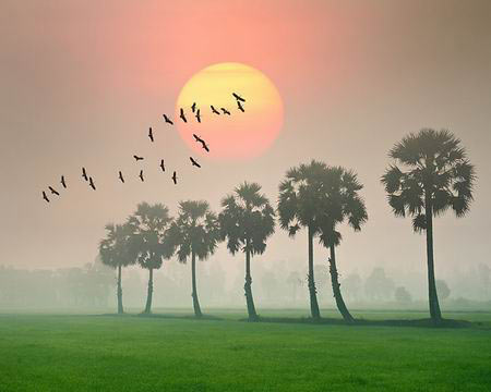 vietnam, landscape, beauty, photo