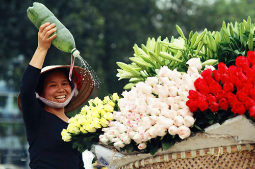 flower bike, mobile flower shop, hanoi, romantic