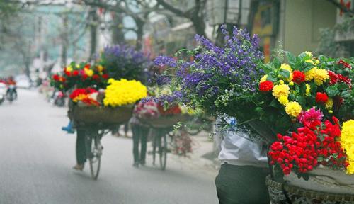 flower bike, mobile flower shop, hanoi, romantic