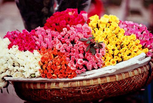 flower bike, mobile flower shop, hanoi, romantic