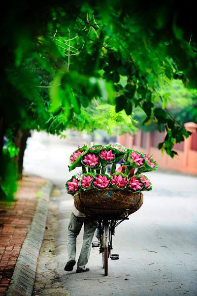 flower bike, mobile flower shop, hanoi, romantic