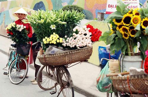 flower bike, mobile flower shop, hanoi, romantic