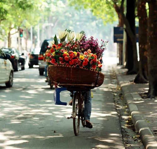 flower bike, mobile flower shop, hanoi, romantic