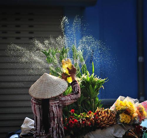 flower bike, mobile flower shop, hanoi, romantic