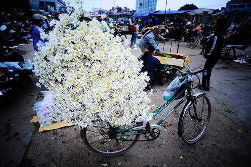 flower bike, mobile flower shop, hanoi, romantic