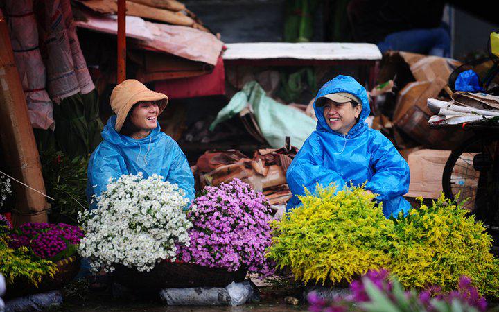 flower bike, mobile flower shop, hanoi, romantic