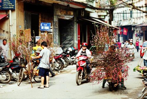 flower bike, mobile flower shop, hanoi, romantic