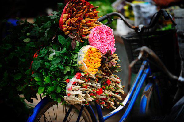 flower bike, mobile flower shop, hanoi, romantic