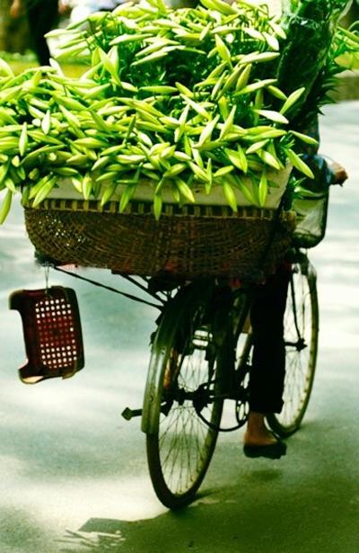 flower bike, mobile flower shop, hanoi, romantic