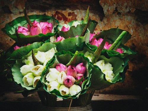 flower bike, mobile flower shop, hanoi, romantic