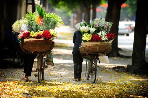 flower bike, mobile flower shop, hanoi, romantic