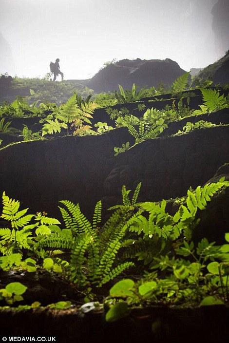 son doong, cave, quang binh