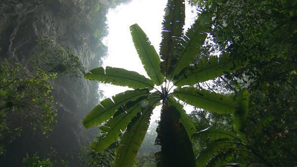 son doong, cave, quang binh