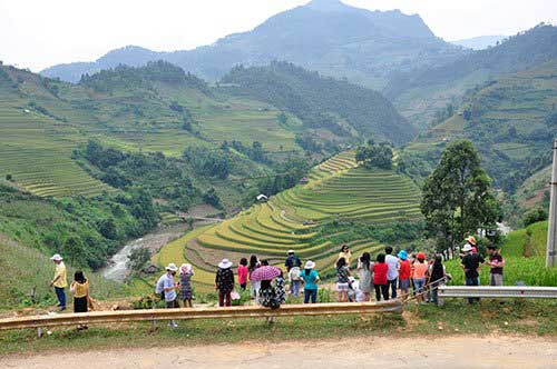 Terraced rice fields, northern mountainous region, Hoang Su Phi, Mu Cang Chai