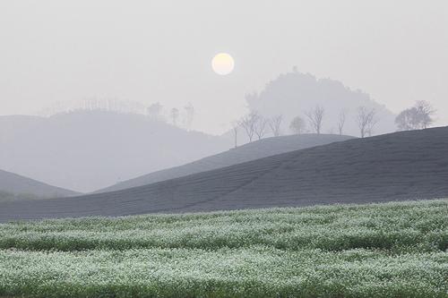 northwestern region, tay bac, rustic life