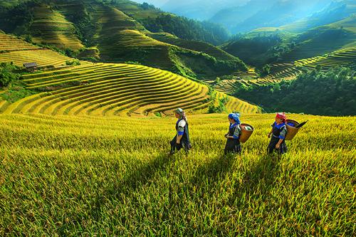 northwestern region, tay bac, rustic life